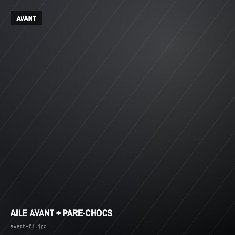 Aile avant + pare-chocs — avant réparation