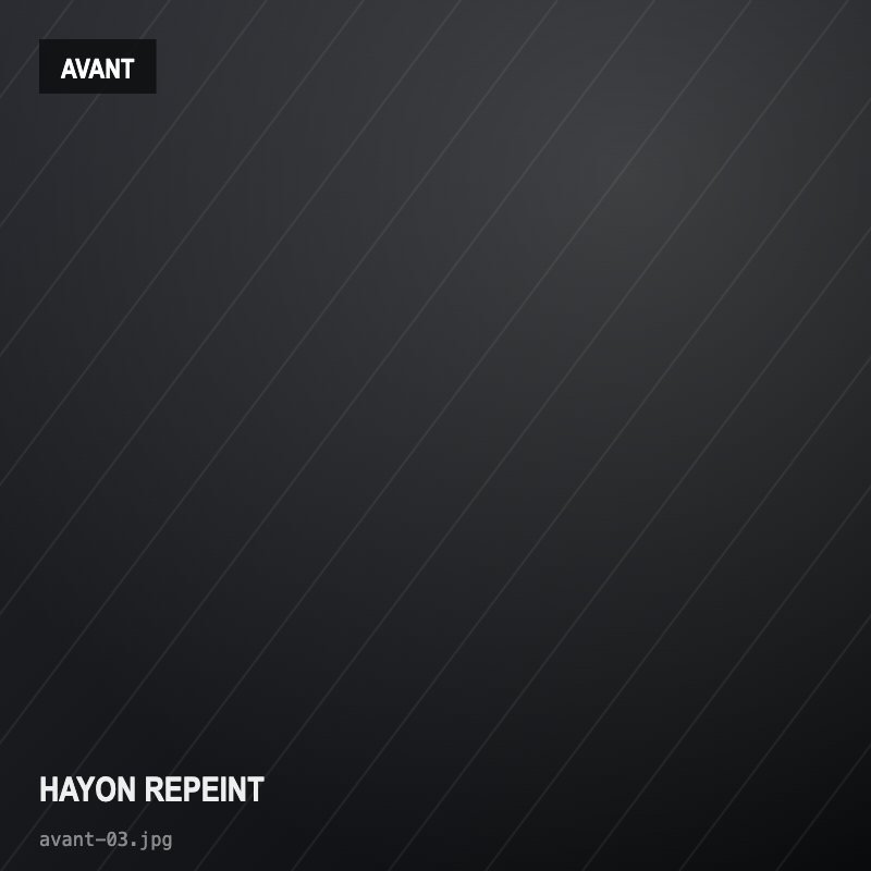 Hayon repeint — avant réparation
